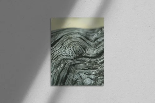 Natura zamknięta w drewnianych spiralach