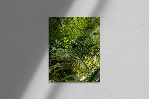 Tropikalna elegancja palm na błękitnym niebie