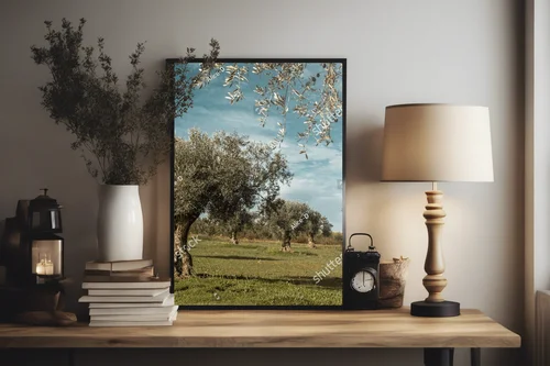 Urok oliwnych gajów w malowniczym Alentejo