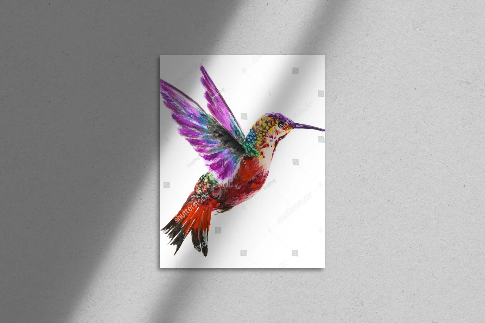 Hummingbird w kolorach tropików na białym tle