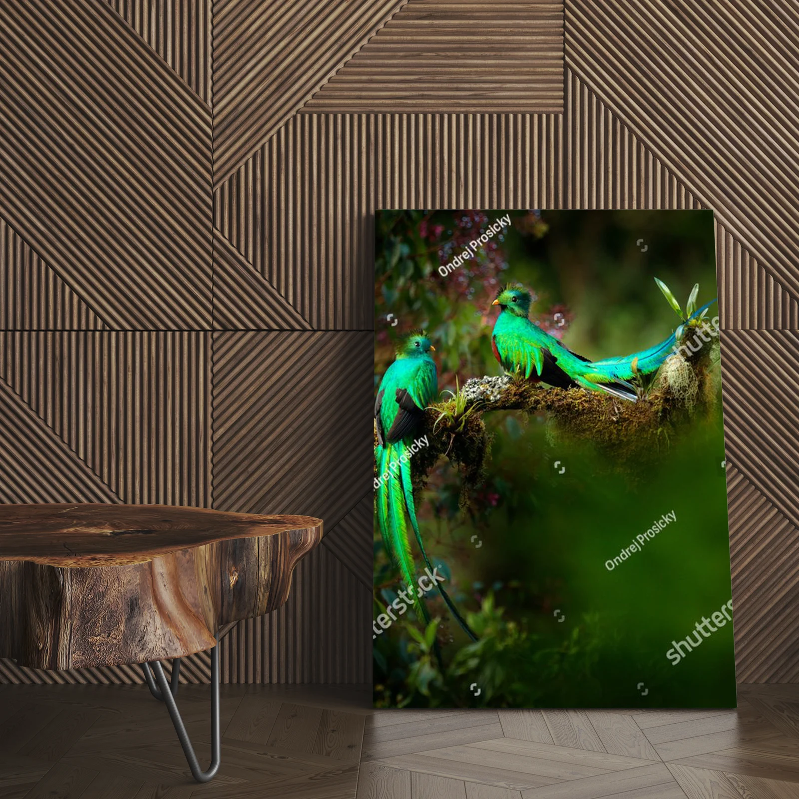 Tropikalna harmonia: quetzale w leśnej scenerii