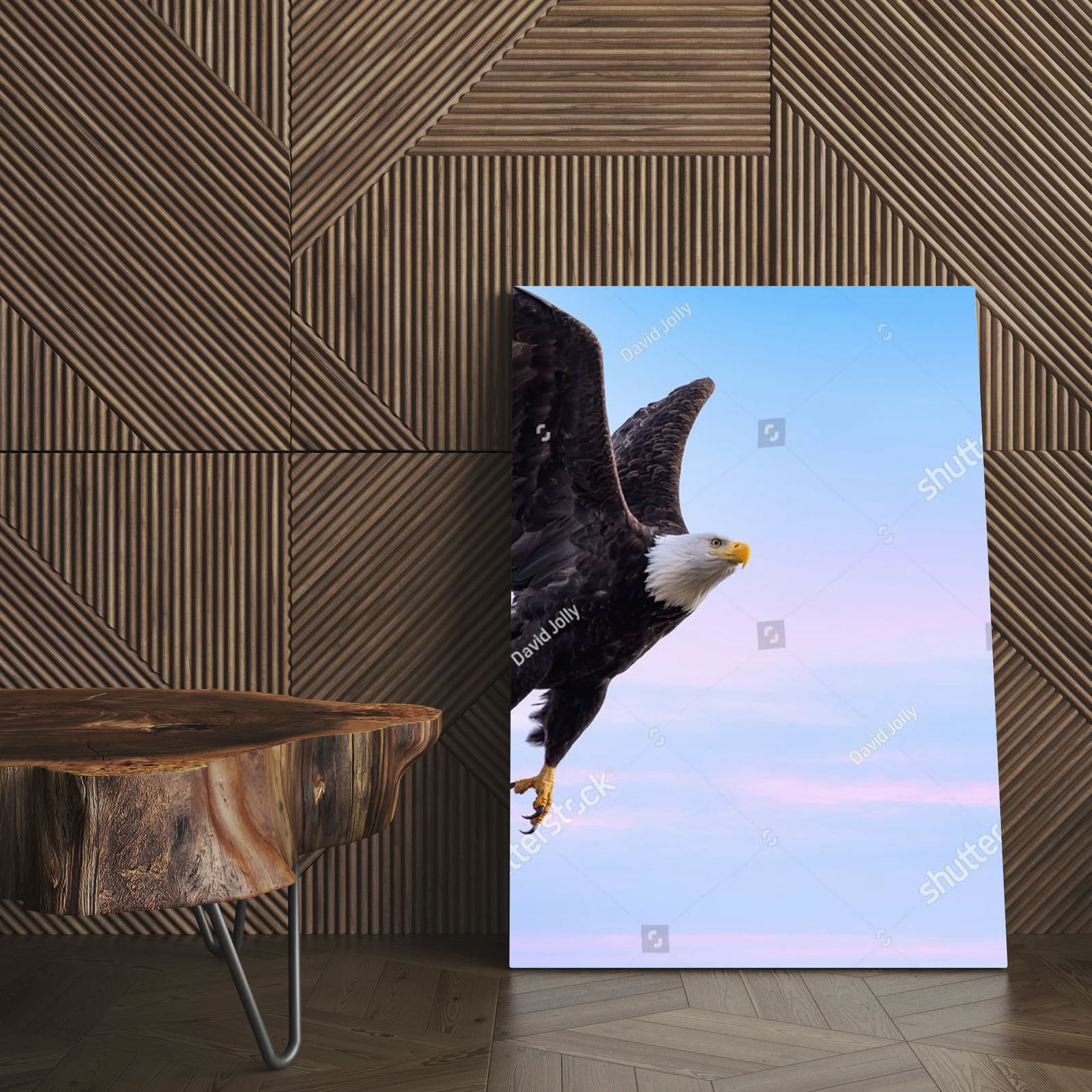 Bald Eagle w majestatycznym locie na niebieskim tle