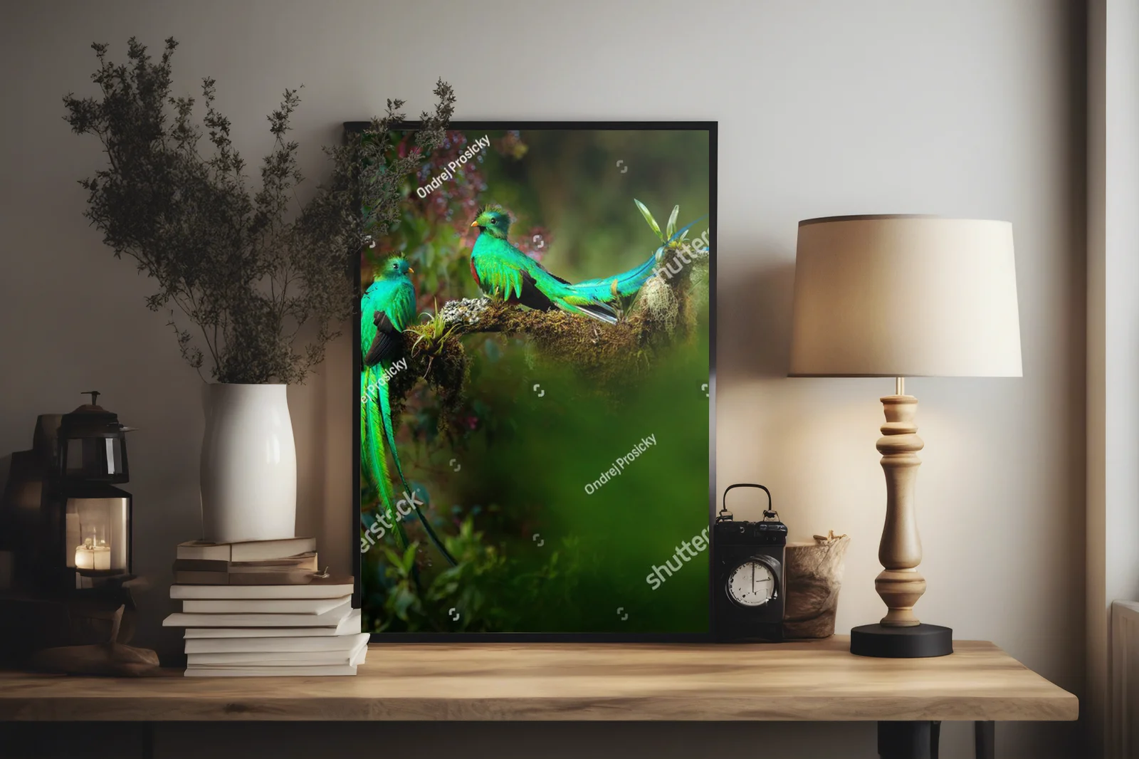 Tropikalna harmonia: quetzale w leśnej scenerii