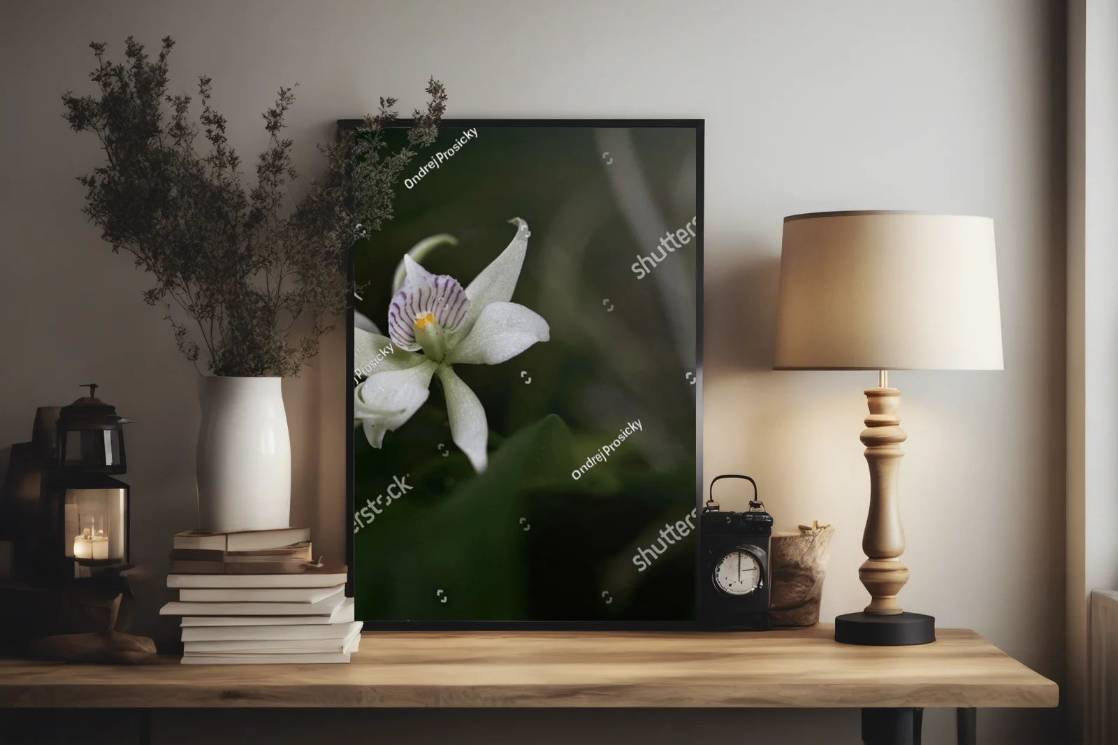 Urok dzikiej orchidei z tropikalnych lasów