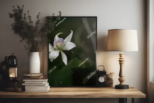 Urok dzikiej orchidei z tropikalnych lasów