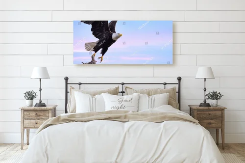 Bald Eagle w majestatycznym locie na niebieskim tle