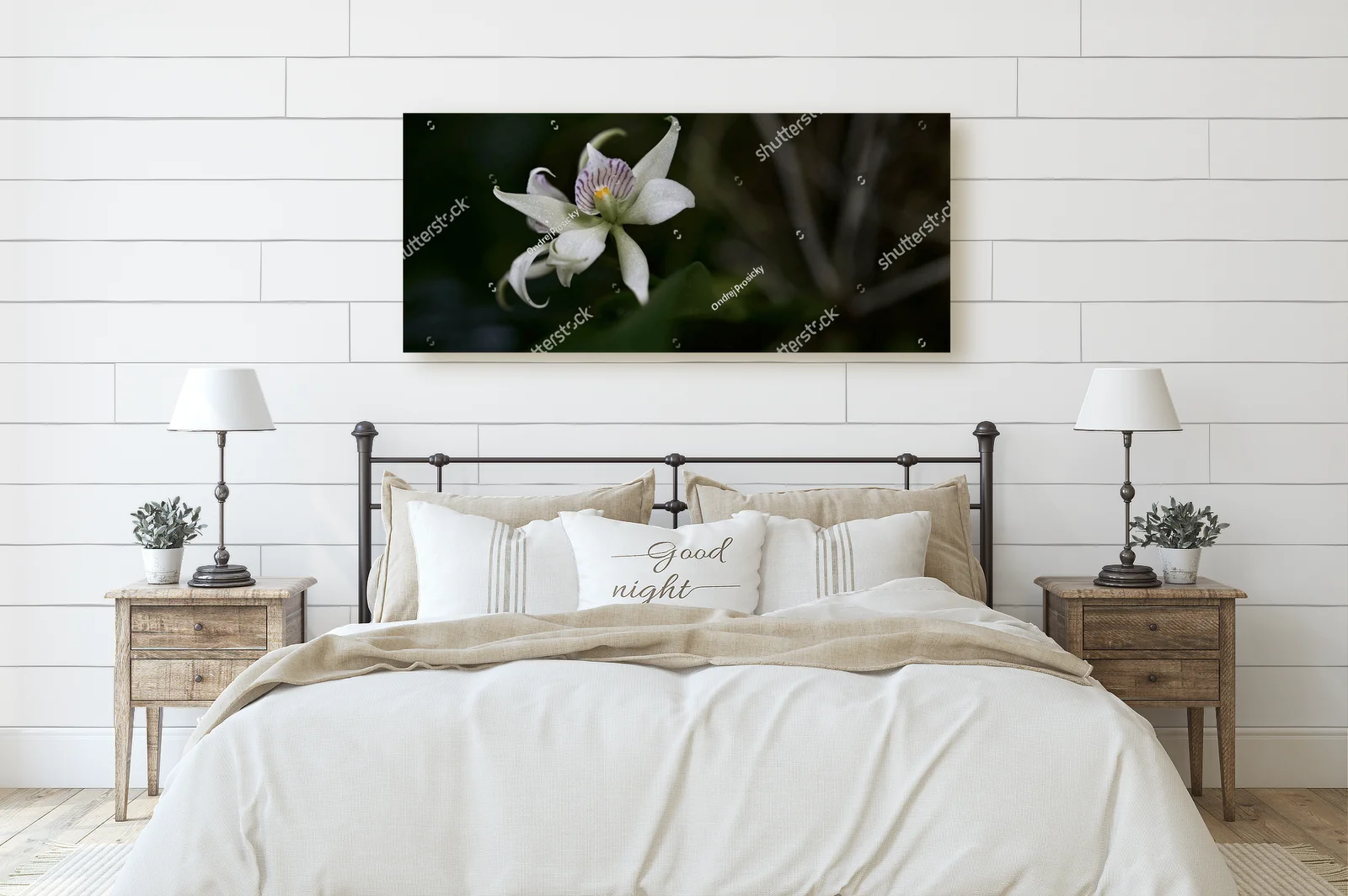 Urok dzikiej orchidei z tropikalnych lasów