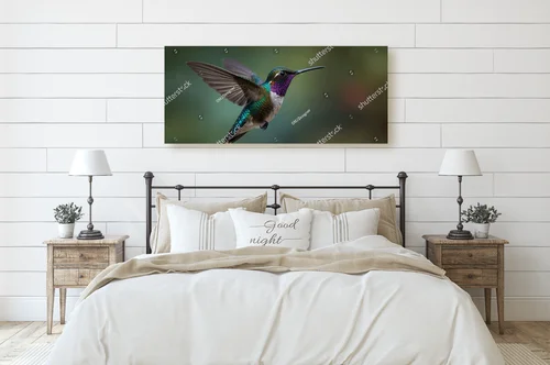 Kolorowe kolibry w tropikalnej scenerii