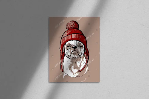 Uroczy pug w hipsterskim swetrze z pomponem