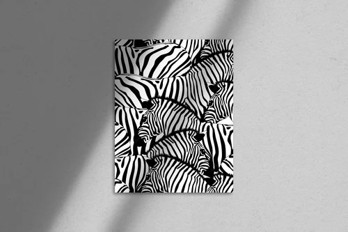 Elegancka zebra w monochromatycznych odcieniach