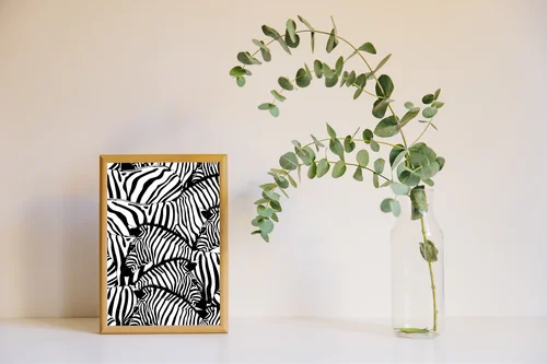 Elegancka zebra w monochromatycznych odcieniach