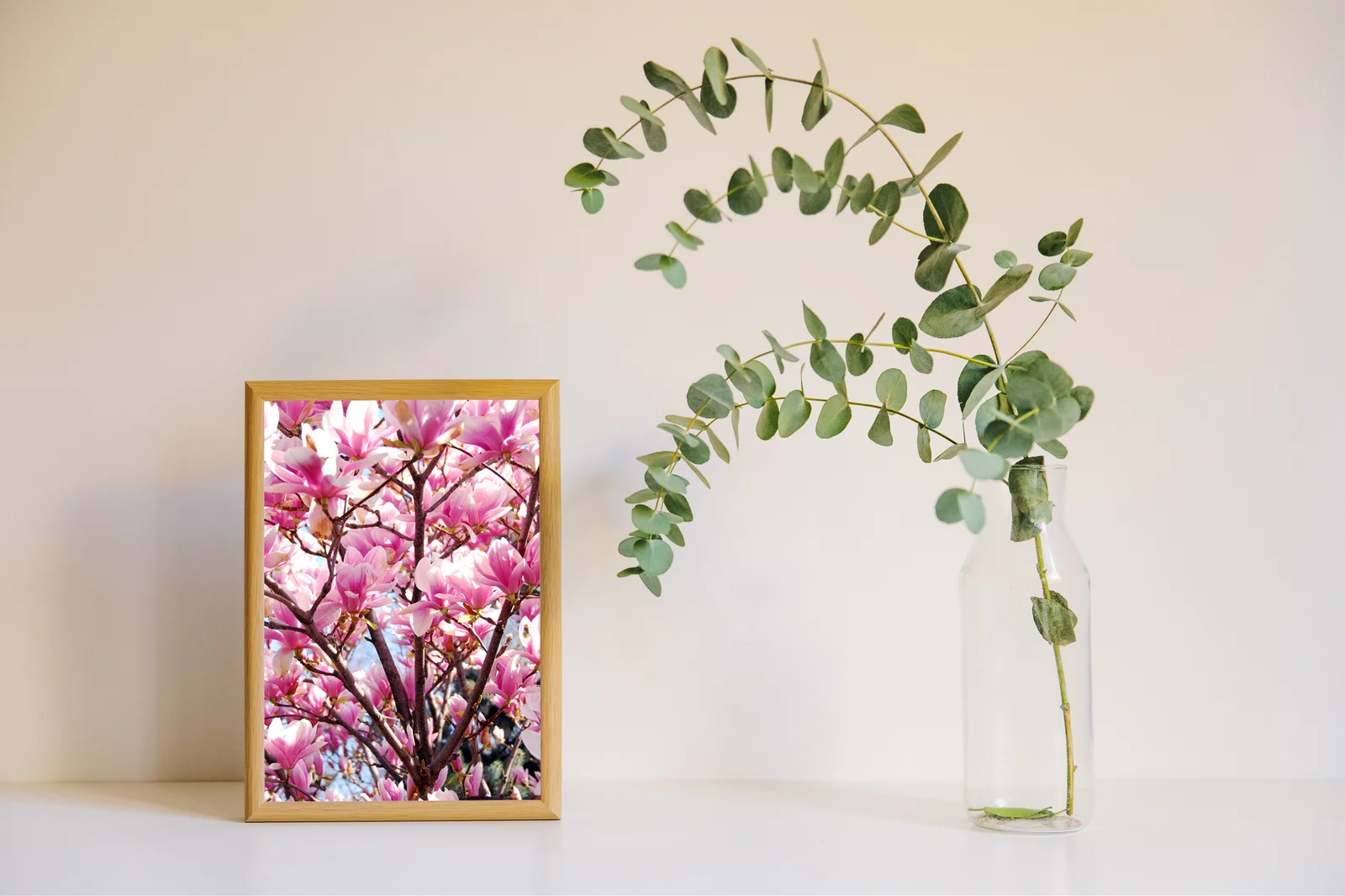 Kwiat magnolii w delikatnych, białych odcieniach