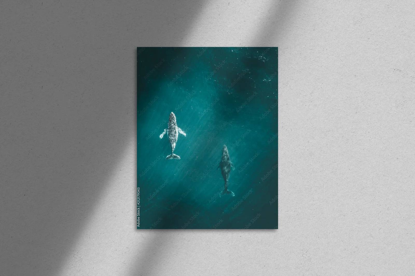 Niezwykłe wędrówki humbaków w głębinach oceanu