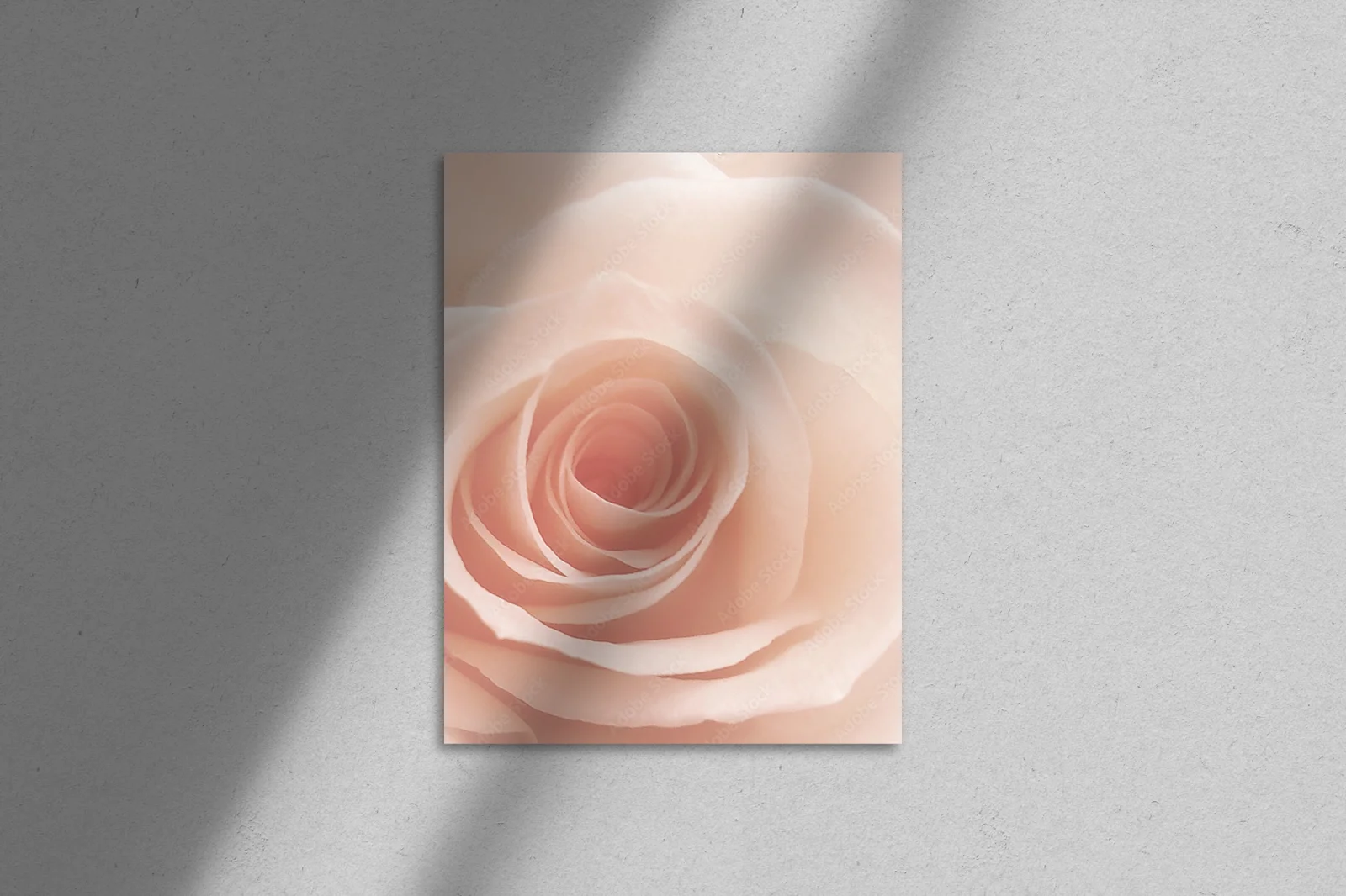 Elegancka harmonia pastelowych róż