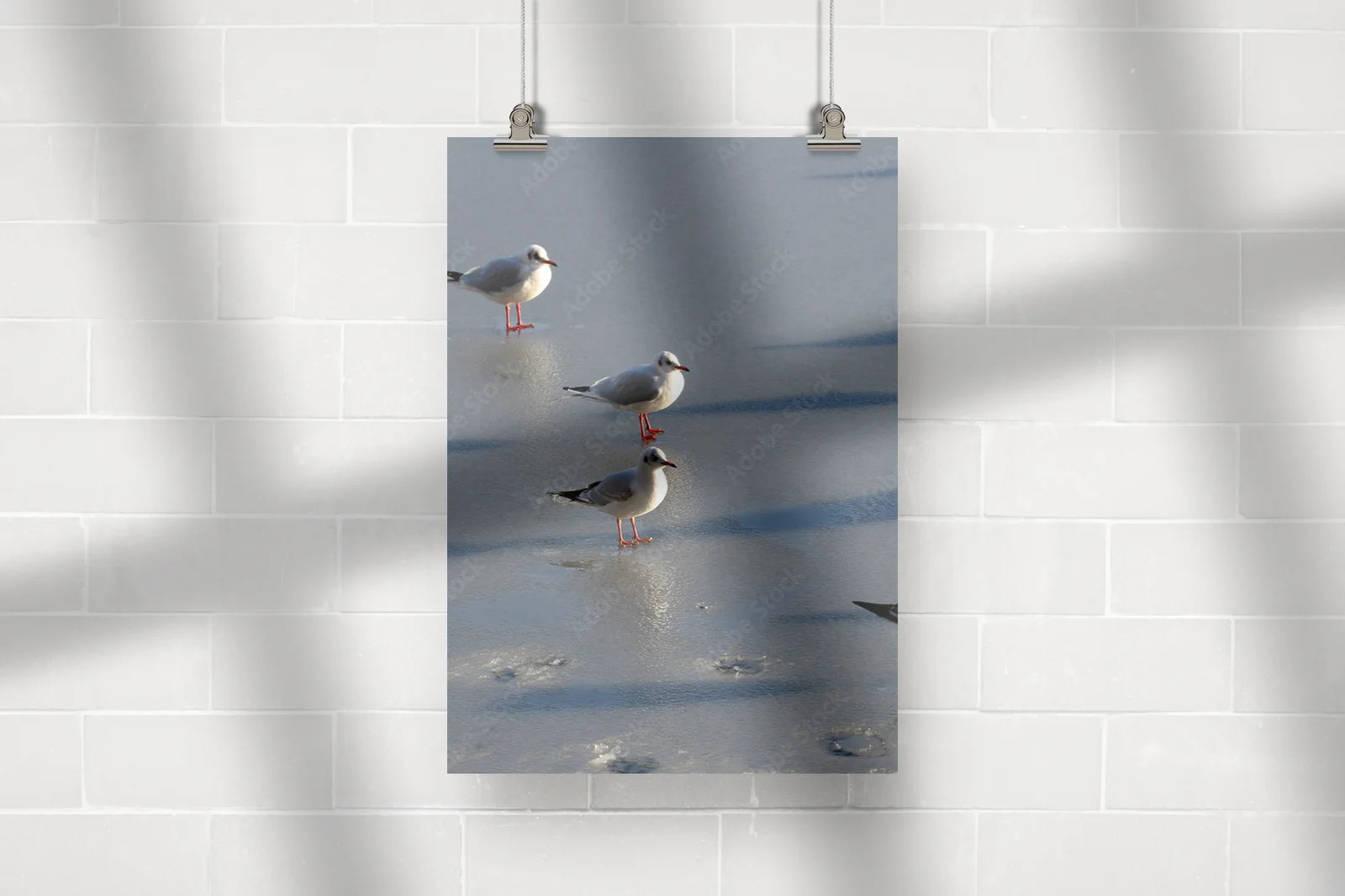 Elegancka seagull w stonowanych barwach