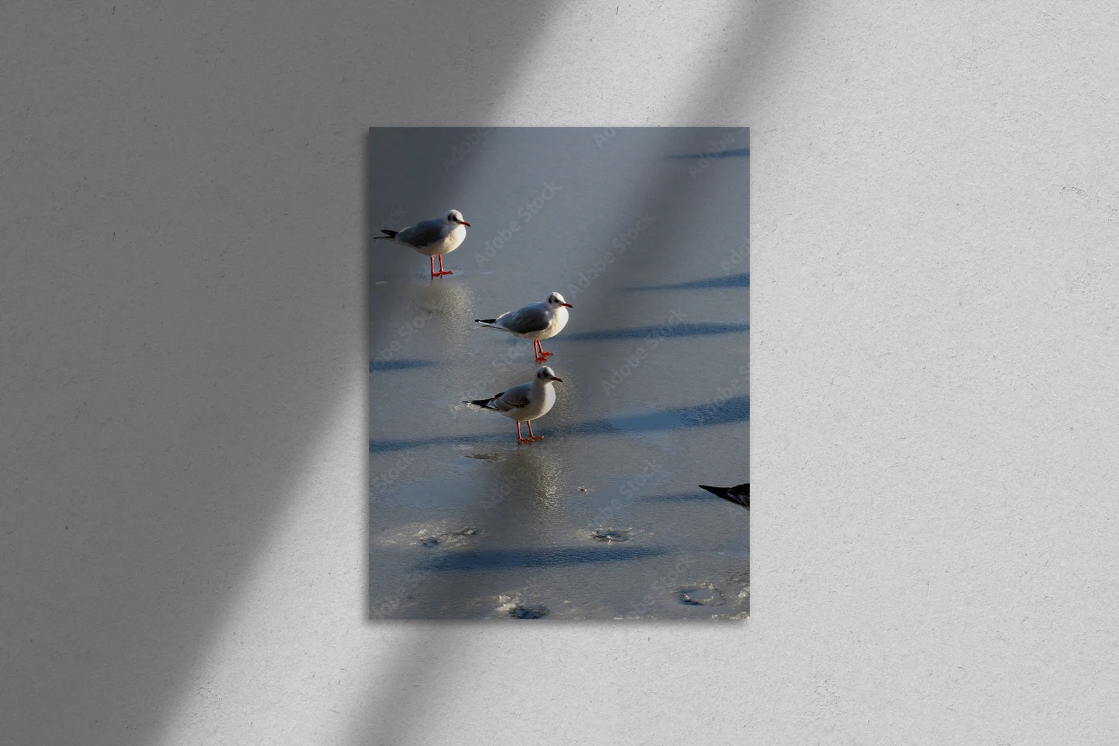 Elegancka seagull w stonowanych barwach