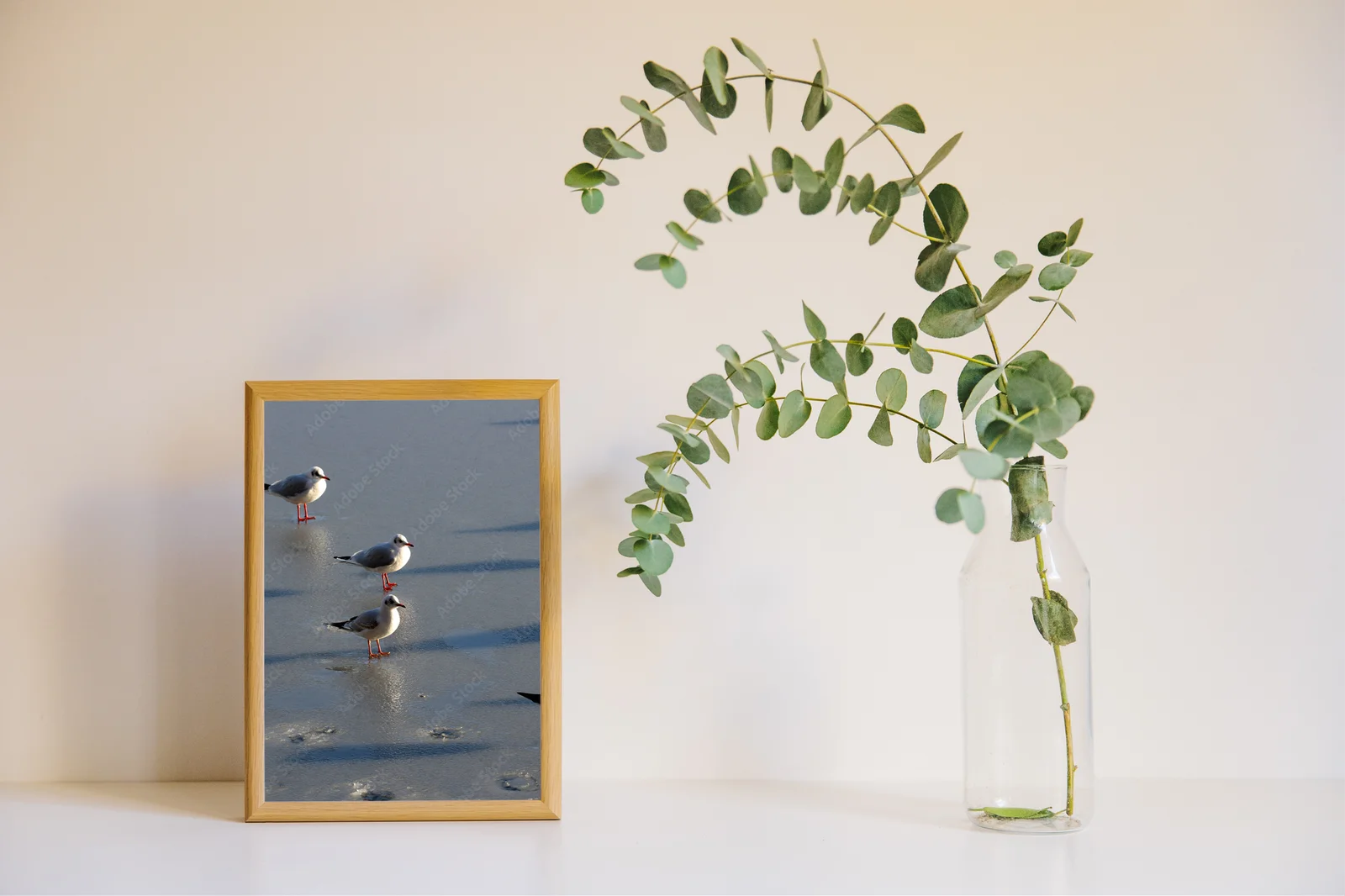 Elegancka seagull w stonowanych barwach