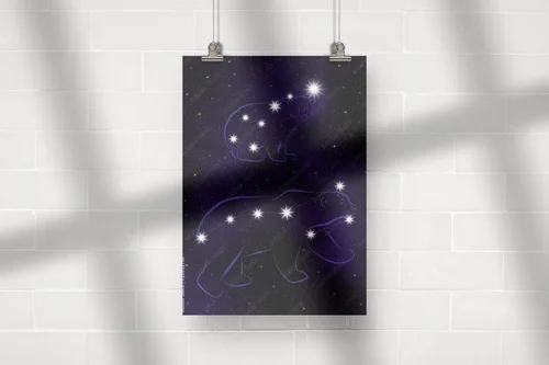 Ursa Major i Ursa Minor: gwiezdny taniec w nocy