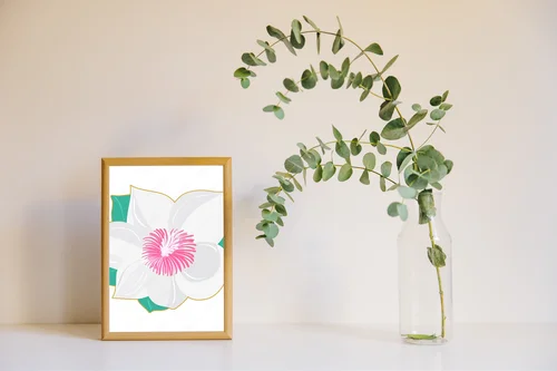 Elegancka magnolia w białych odcieniach