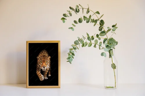 Elegancja czerni: majestatyczny jaguar w mroku