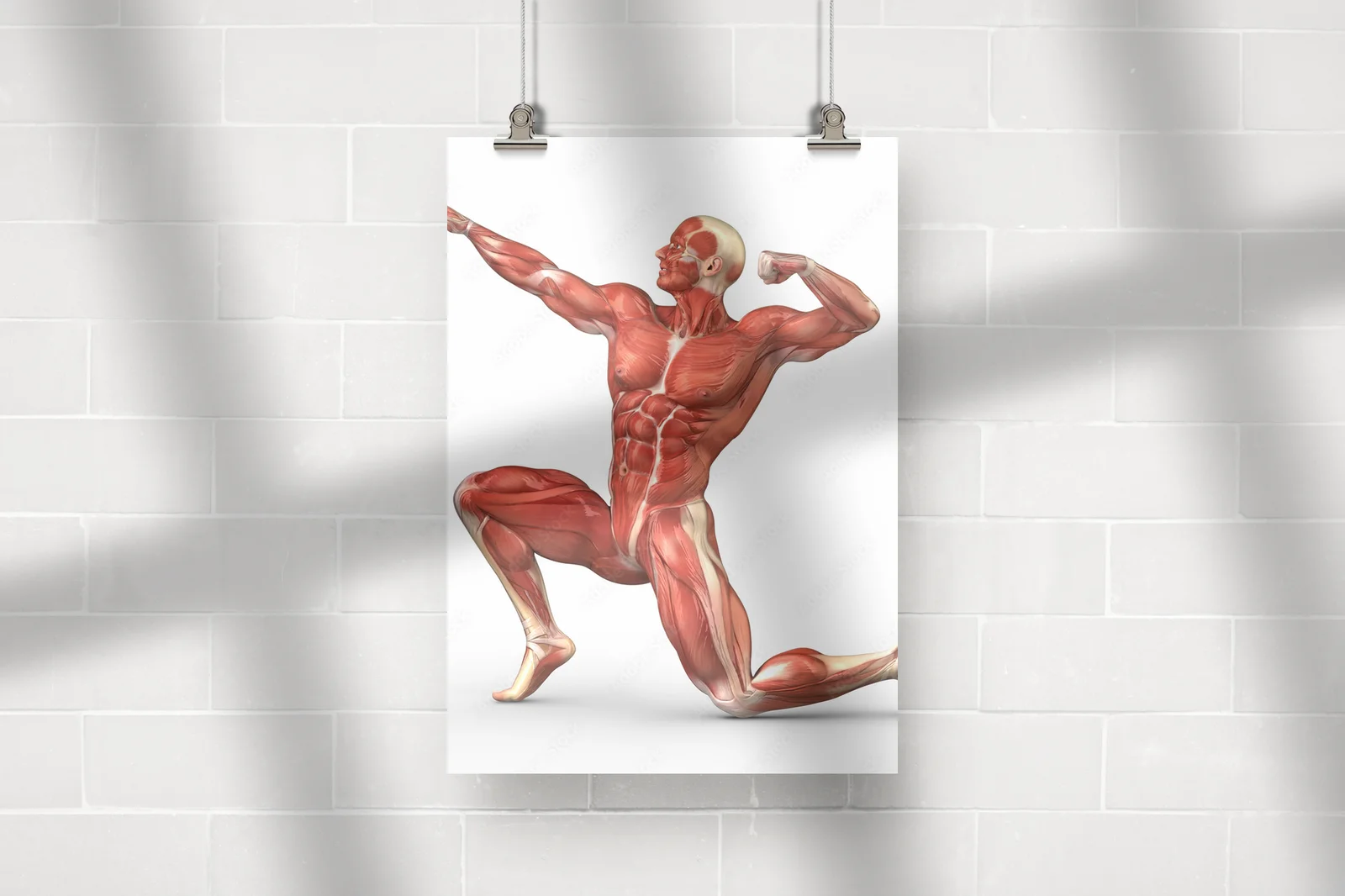 Anatomia sylwetki męskiej w białych tonacjach