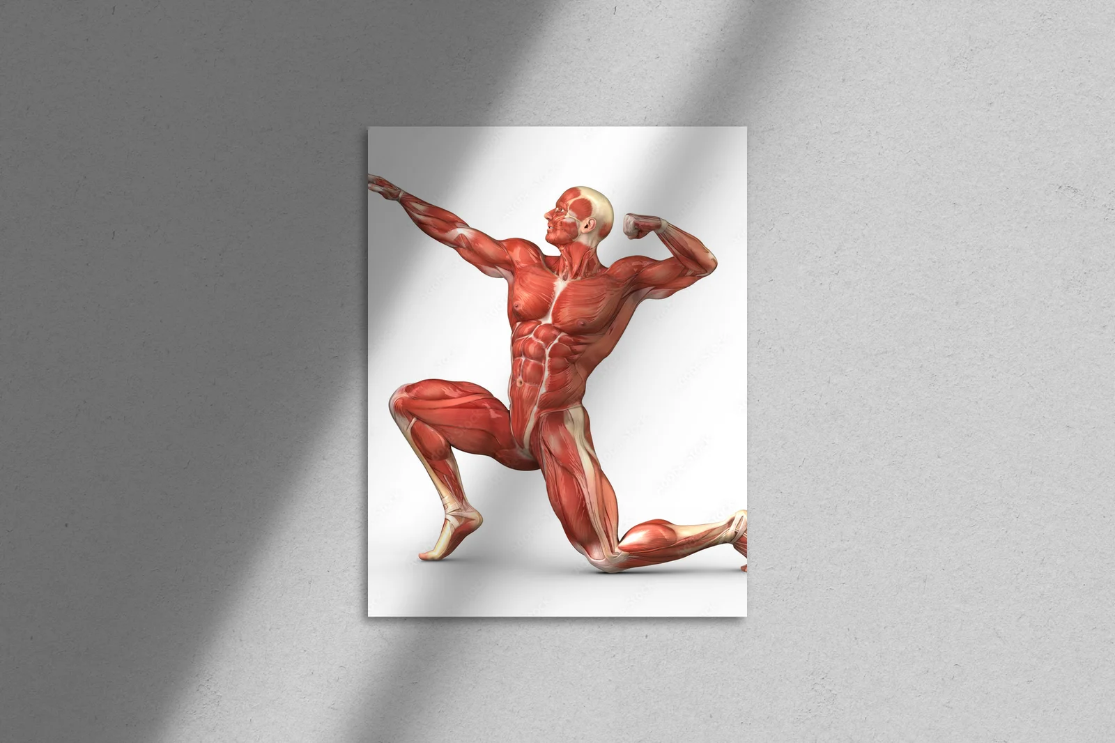 Anatomia sylwetki męskiej w białych tonacjach