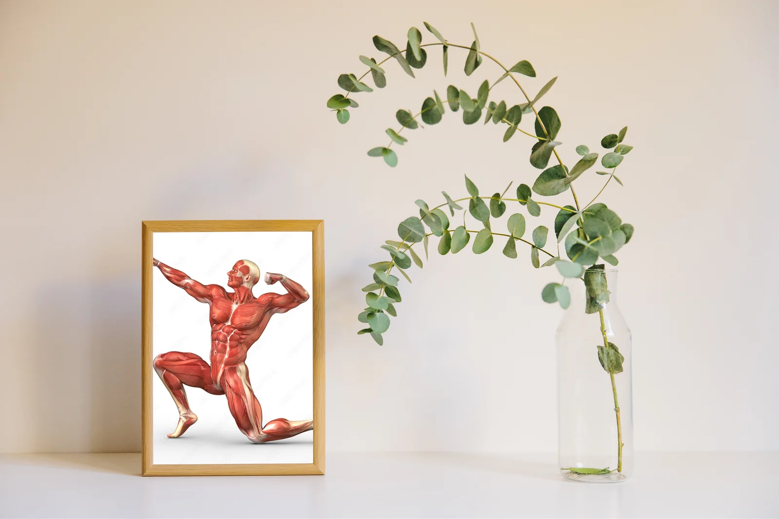 Anatomia sylwetki męskiej w białych tonacjach