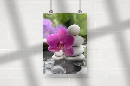 Elegancka harmonia natury w odcieniach czerni