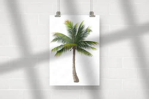 Ekskluzywna elegancja palm w białych przestrzeniach