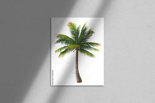 Ekskluzywna elegancja palm w białych przestrzeniach