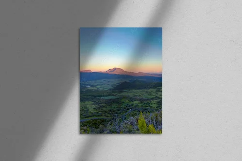 Harmonia poranka na wyspie La Réunion