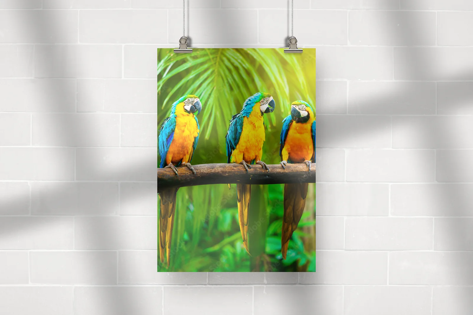 Radosne macaw w słonecznych barwach