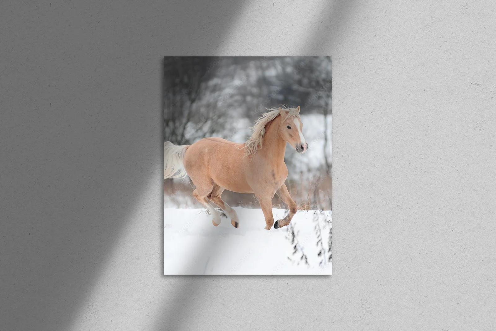 Magia palomino w delikatnych odcieniach