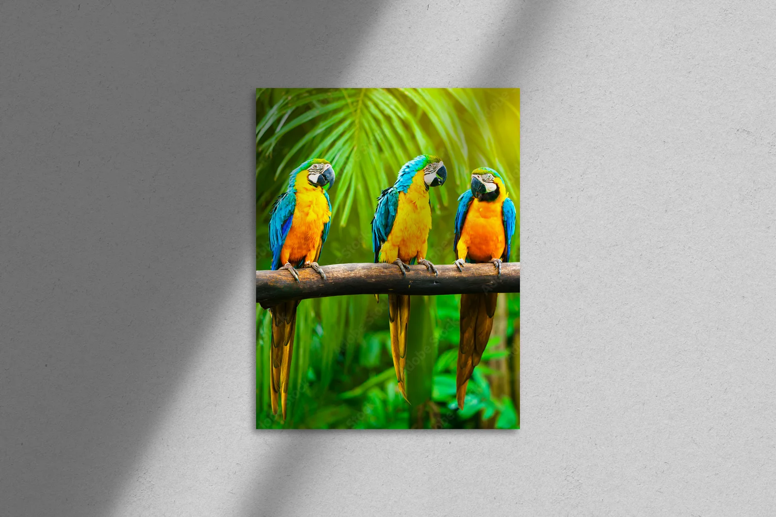 Radosne macaw w słonecznych barwach