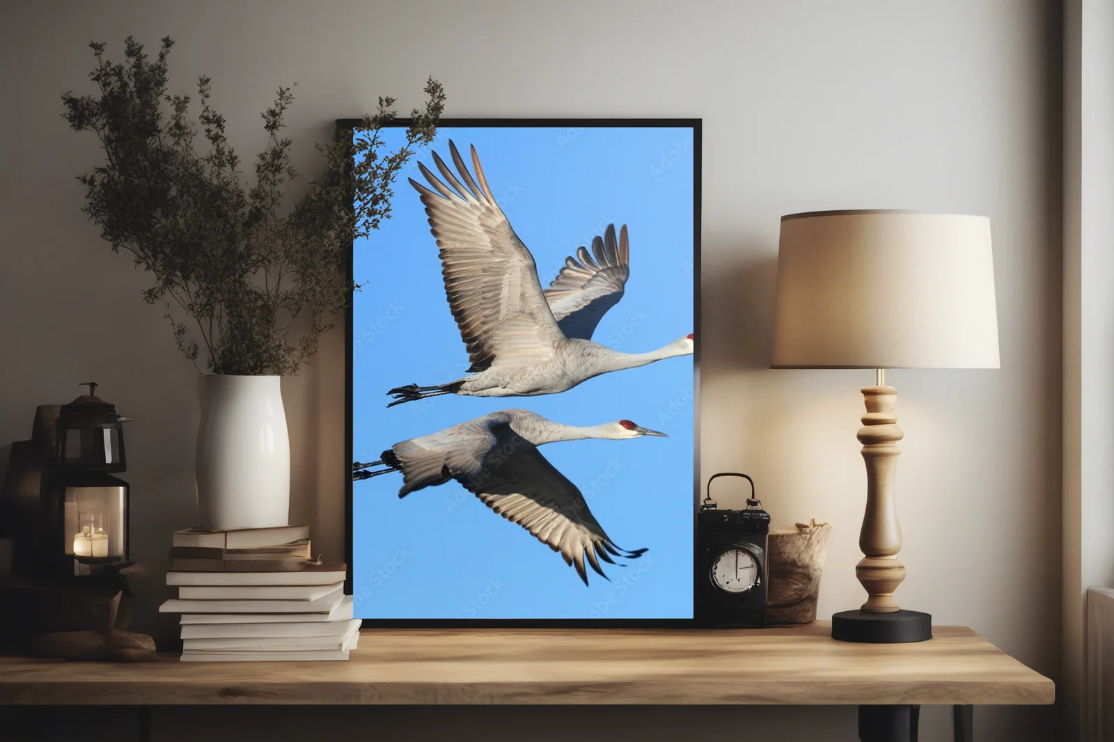 Elegancja w błękicie: Grus canadensis w szlachetnych tonacjach
