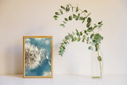 Ultrafioletowe dandeliony w wietrze