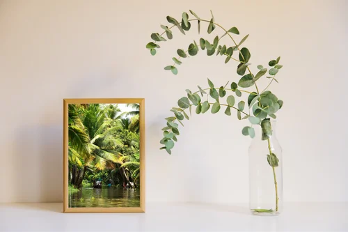 Zaciszna oaza palm w tropikalnym raju