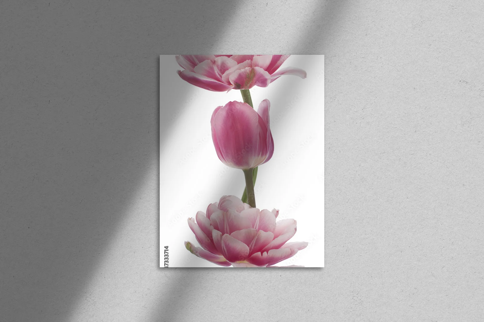 Romantyczne tulipany w blasku wiosennej bieli