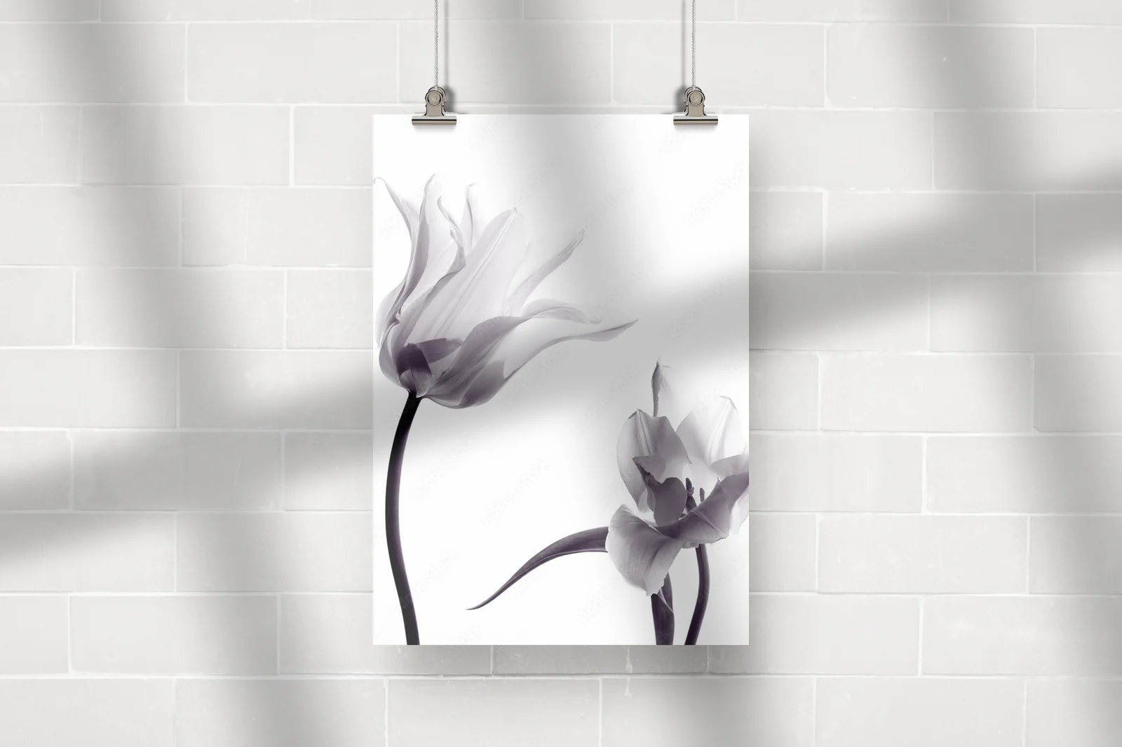 Subtelne tulipany w monochromatycznej harmonii