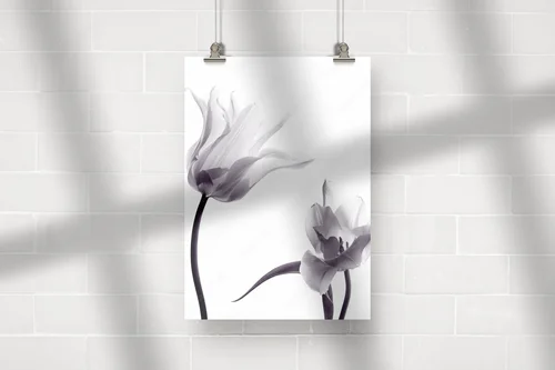 Subtelne tulipany w monochromatycznej harmonii