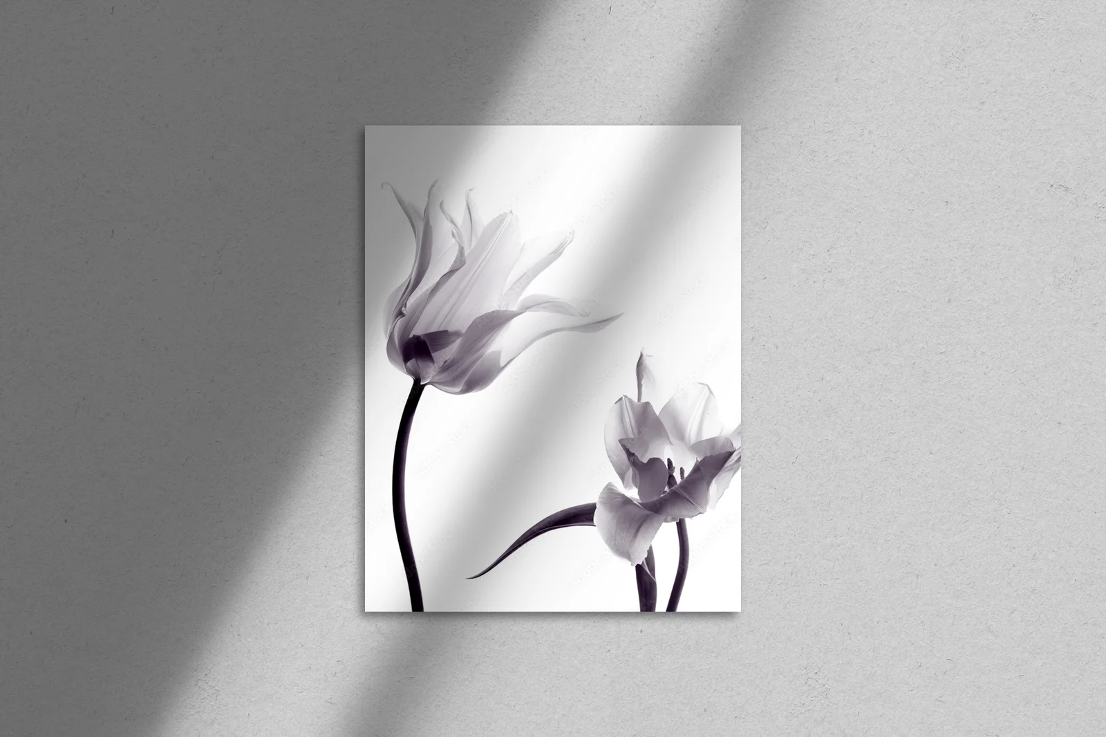Subtelne tulipany w monochromatycznej harmonii