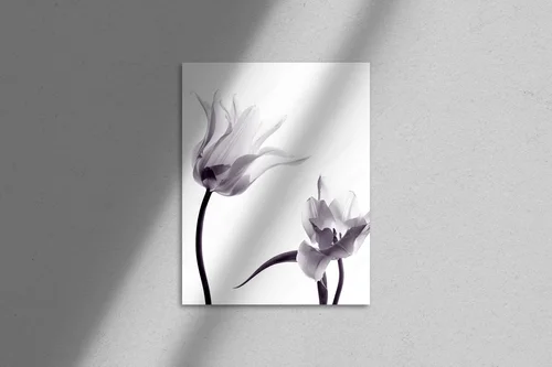 Subtelne tulipany w monochromatycznej harmonii