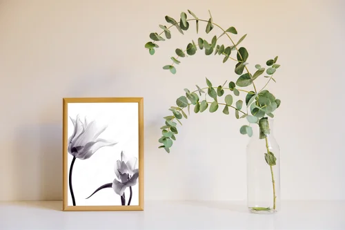 Subtelne tulipany w monochromatycznej harmonii