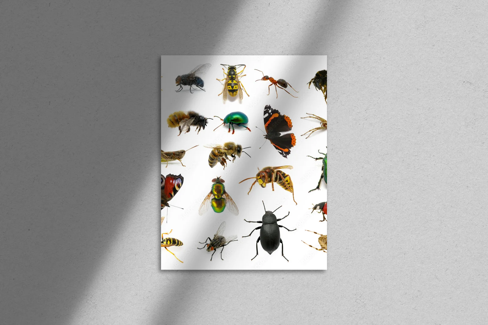 Zanurzenie w insektywnym królestwie barw