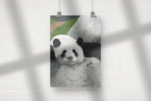 Zanurzenie w przyrodzie: Panda w subtelnych odcieniach
