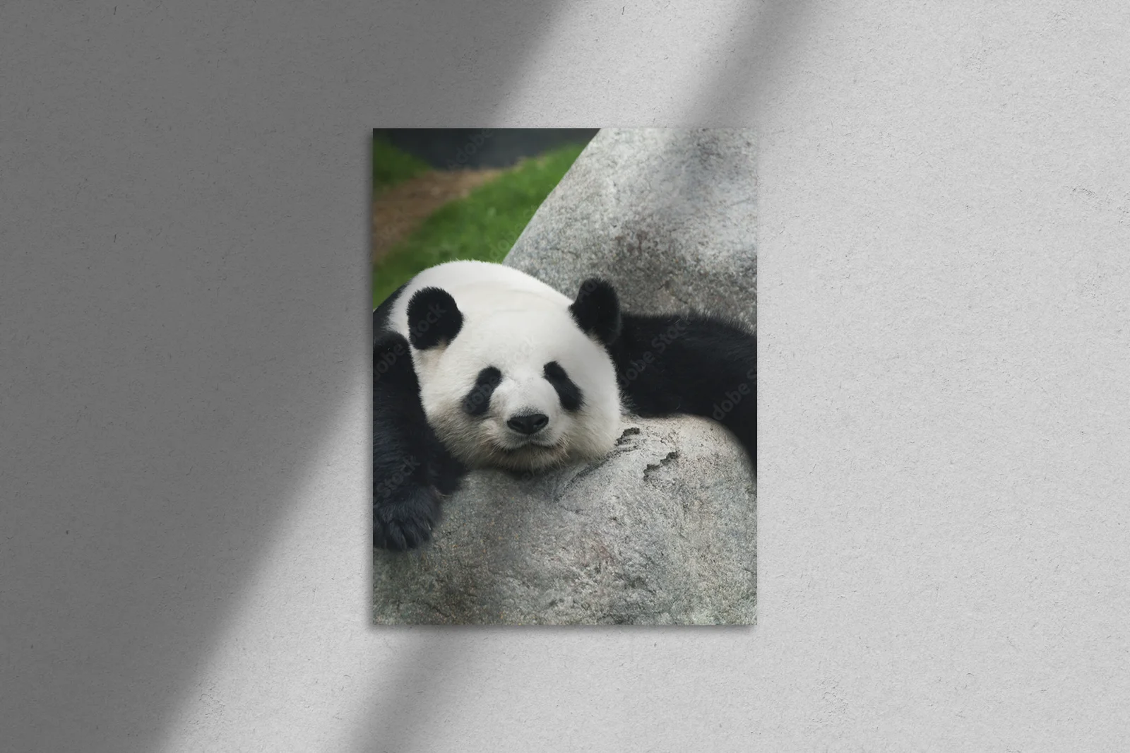 Zanurzenie w przyrodzie: Panda w subtelnych odcieniach