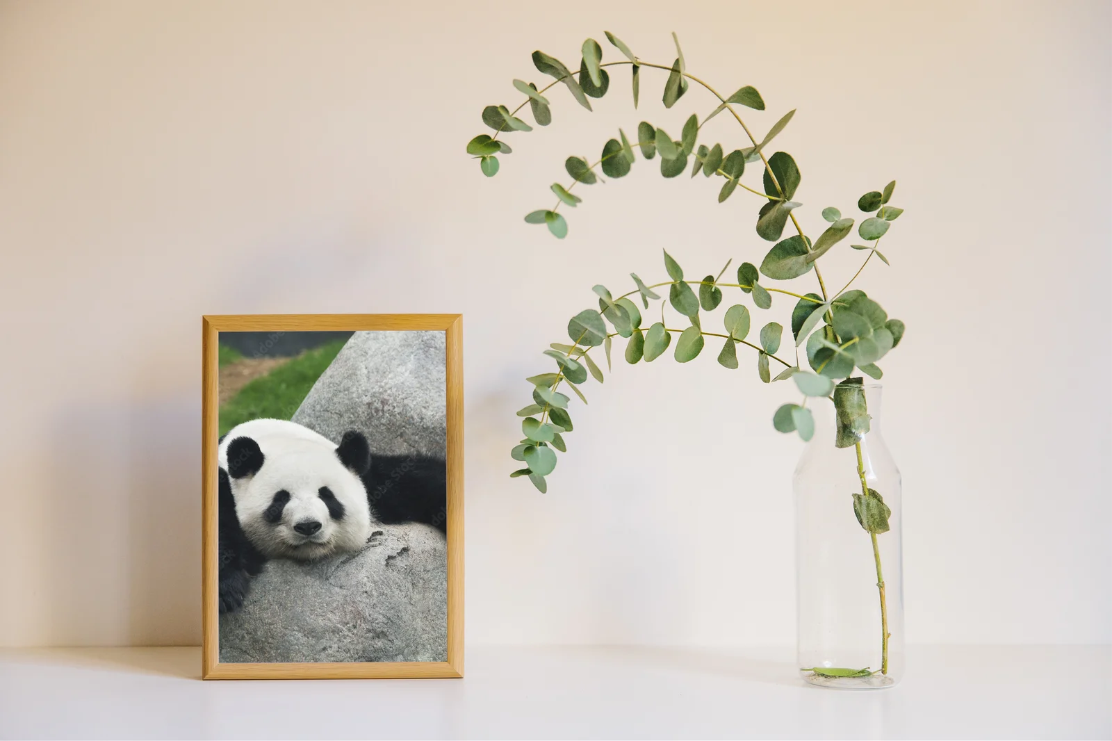 Zanurzenie w przyrodzie: Panda w subtelnych odcieniach