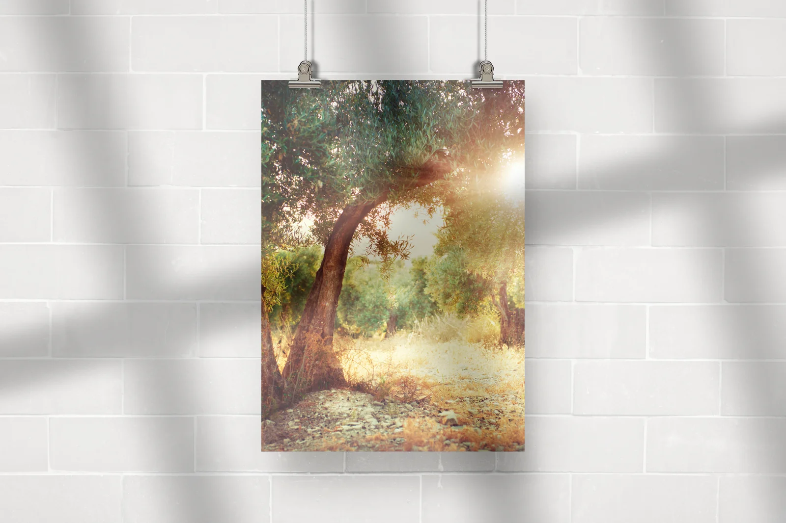 Olive Trees - Naturalna Elegancja w Pastelowych Tonach