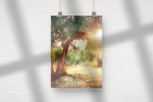 Olive Trees - Naturalna Elegancja w Pastelowych Tonach