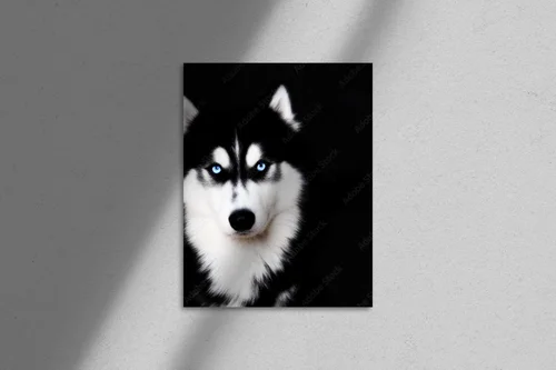Nieziemskie spojrzenia: niebieskie oczy husky